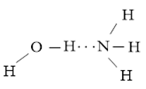 Vẽ các liên kết hydrogen được hình thành giữa H2O với mỗi phân tử NH3, C2H5OH