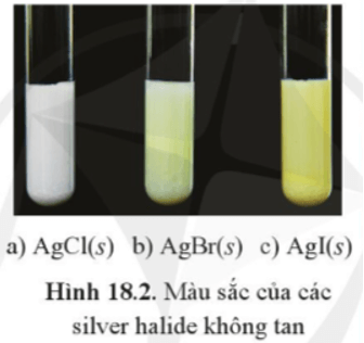 Lý thuyết Hóa học 10 Cánh diều Bài 18: Hydrogen halide và hydrohalic acid