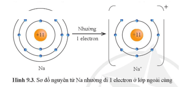 Lý thuyết Hóa học 10 Cánh diều Bài 9: Quy tắc octet