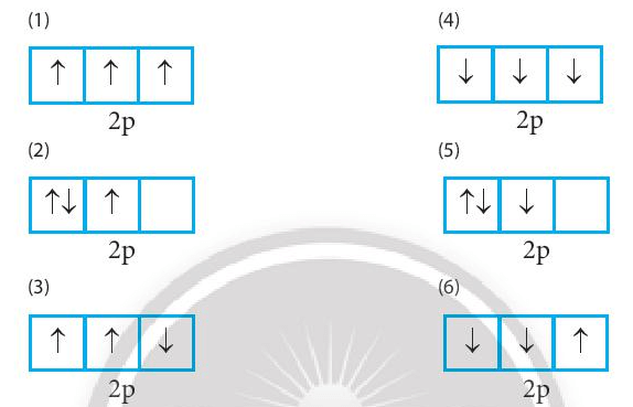 Trong các cách biểu diễn electron vào các orbital của phân lớp 2p (ảnh 1)