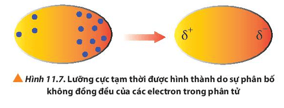 Sự phân bố electron không đồng đều trong một nguyên tử hay một phân tử (ảnh 1)