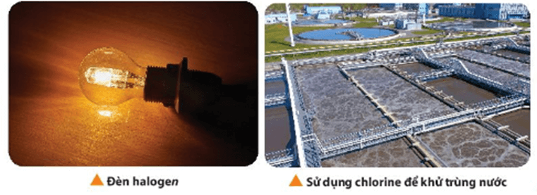 Trong đèn halogen, bao quanh dây tóc làm bằng wolfram là các khí hiếm như krypton, xenon