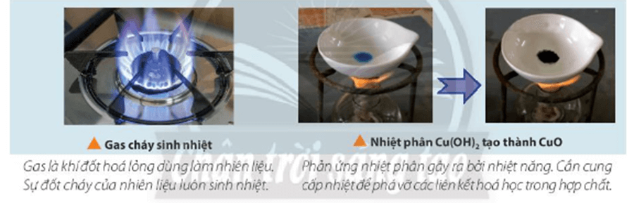 Hầu như mọi phản ứng hóa học cũng như quá trình chuyển thể của chất luôn kèm theo sự thay đổi năng lượng