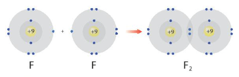 Hình 8.1 giải thích sự hình thành phân tử hydrogen (H2) và fluorine (F2) (ảnh 1)