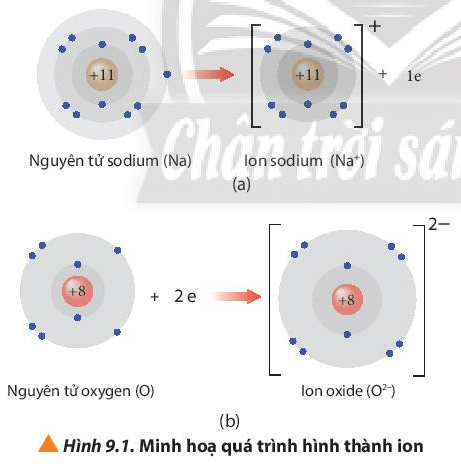 Quan sát Hình 9.1, nhận xét số electron trên lớp vỏ với số proton (ảnh 1)