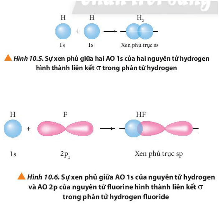 Quan sát các Hình từ 10.5 đến 10.8, cho biết liên kết nào trong mỗi phân tử (ảnh 1)