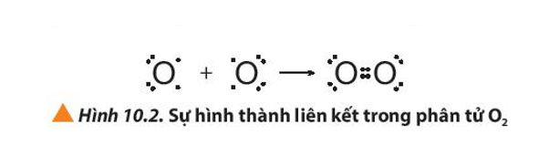 Giải thích sự hình thành liên kết trong các phân tử HCl, O2 và N2 (ảnh 1)