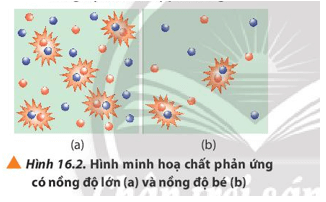 Quan sát Hình 16.2 và phương trình hóa học của phản ứng, giải thích kết quả thí nghiệm 1