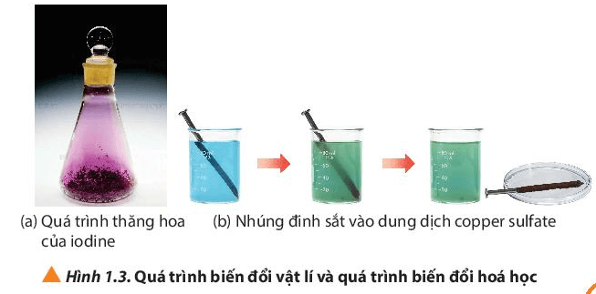 Quan sát Hình 1.3, cho biết trong các quá trình (ảnh 1)