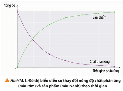 Quan sát Hình 15.1, cho biết nồng độ của chất phản ứng và sản phẩm thay đổi như thế nào