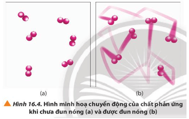 Quan sát Hình 16.4 và phương trình hóa học của phản ứng, giải thích