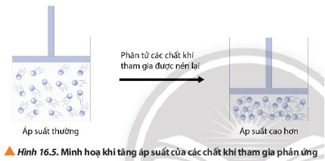 Quan sát Hình 16.5, cho biết mật độ phân bố của các phân tử chất khí trong bình kín