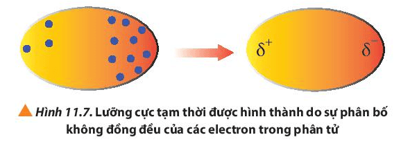 Quan sát Hình 11.7, cho biết thế nào là một lưỡng cực tạm thời? (ảnh 1)