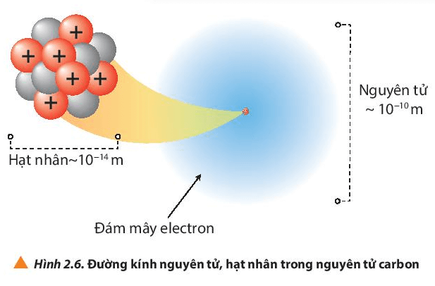 Quan sát hình 2.6, hãy lập tỉ lệ giữa đường kính nguyên tử và đường kính (ảnh 1)