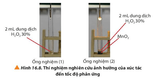 Tiến hành thí nghiệm 3, quan sát hiện tượng và so sánh sự thay đổi của tàn đóm