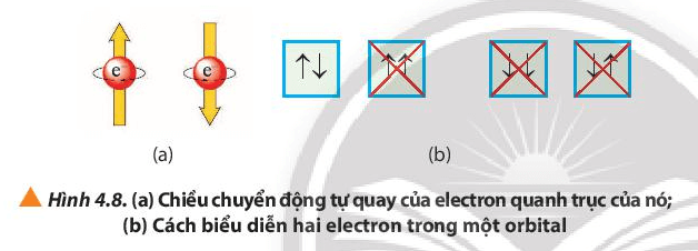 Quan sát Hình 4.8, cho biết cách biểu diễn 2 electron trong một orbital (ảnh 1)