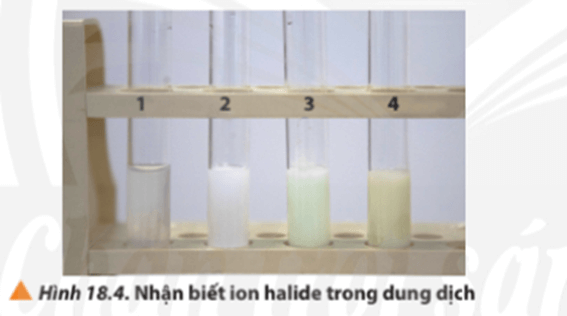 Lý thuyết Hóa 10 Chân trời sáng tạo Bài 18: Hydrogen halide và một số phản ứng của ion halide