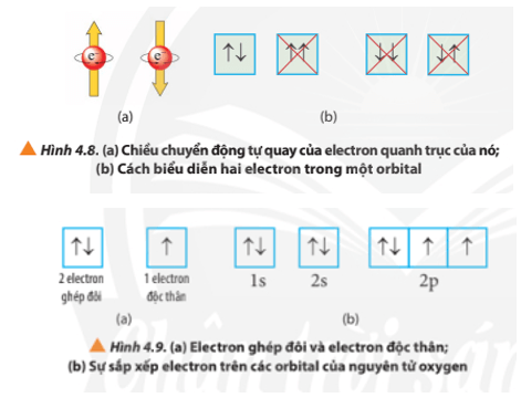 Lý thuyết Hóa 10 Chân trời sáng tạo Bài 4: Cấu trúc lớp vỏ electron của nguyên tử