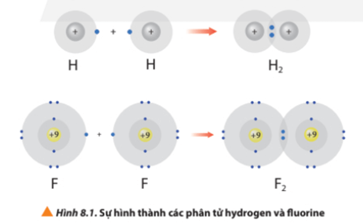 Lý thuyết Hóa 10 Chân trời sáng tạo Bài 8: Quy tắc octet