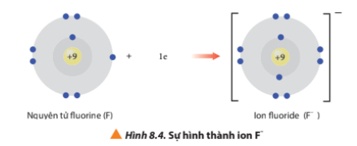 Lý thuyết Hóa 10 Chân trời sáng tạo Bài 8: Quy tắc octet