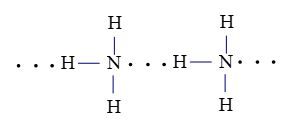 Trắc nghiệm Hóa 10 Chân trời sáng tạo Bài 11 (có đáp án): Liên kết hydrogen và tương tác van der waals