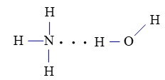 Trắc nghiệm Hóa 10 Chân trời sáng tạo Bài 11 (có đáp án): Liên kết hydrogen và tương tác van der waals