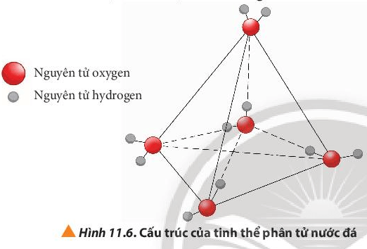 Vì sao nên tránh ướp lạnh các lon bia, nước giải khát (ảnh 1)