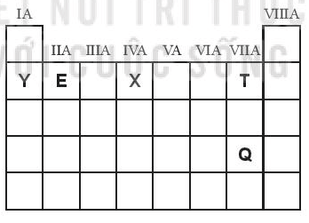 Cho vị trí của các nguyên tố E, T, Q, X, Y trong bảng tuần hoàn