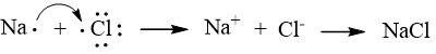 Nguyên tử halogen có thể nhận 1 electron từ nguyên tử kim loại hoặc góp chung electron