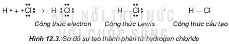 Lý thuyết Hóa học 10 Kết nối tri thức Bài 12: Liên kết cộng hóa trị