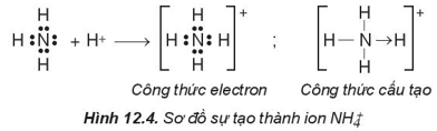 Lý thuyết Hóa học 10 Kết nối tri thức Bài 12: Liên kết cộng hóa trị