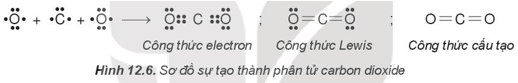 Lý thuyết Hóa học 10 Kết nối tri thức Bài 12: Liên kết cộng hóa trị