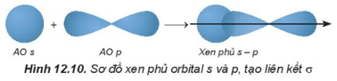 Lý thuyết Hóa học 10 Kết nối tri thức Bài 12: Liên kết cộng hóa trị