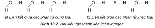 Lý thuyết Hóa học 10 Kết nối tri thức Bài 13: Liên kết hydrogen và tương tác van der Waals