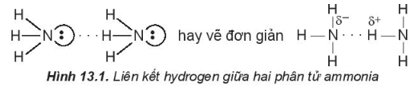 Lý thuyết Hóa học 10 Kết nối tri thức Bài 13: Liên kết hydrogen và tương tác van der Waals