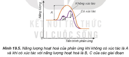 Lý thuyết Hóa học 10 Kết nối tri thức Bài 19: Tốc độ phản ứng