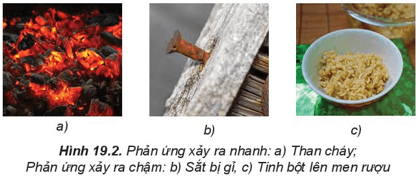 Lý thuyết Hóa học 10 Kết nối tri thức Bài 19: Tốc độ phản ứng