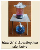 Lý thuyết Hóa học 10 Kết nối tri thức Bài 21: Nhóm halogen