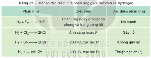 Lý thuyết Hóa học 10 Kết nối tri thức Bài 21: Nhóm halogen