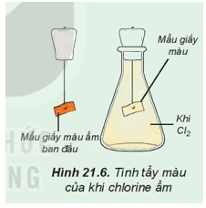 Lý thuyết Hóa học 10 Kết nối tri thức Bài 21: Nhóm halogen