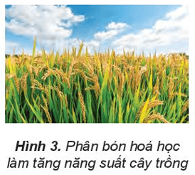 Lý thuyết Hóa học 10 Kết nối tri thức Mở đầu