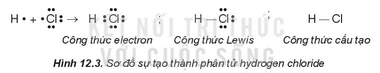 Trắc nghiệm Hóa 10 Kết nối tri thức Bài 12 (có đáp án): Liên kết cộng hóa trị