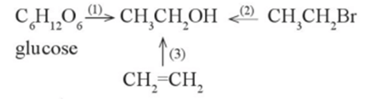 Ethanol có thể được điều chế bằng ba phương pháp theo sơ đồ sau đây