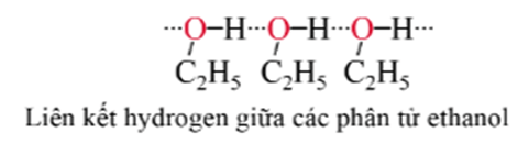 Lý thuyết Hóa học 11 Cánh diều Bài 16: Alcohol