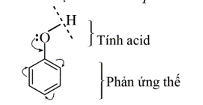 Lý thuyết Hóa học 11 Cánh diều Bài 17: Phenol