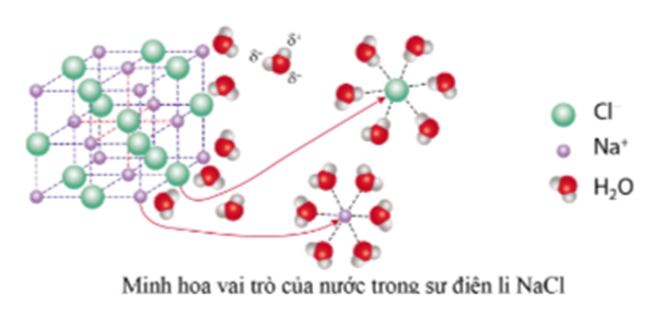 Lý thuyết Hóa học 11 Cánh diều Bài 2: Sự điện li trong dung dịch nước. Thuyết Br∅nsted – Lowry về acid - base