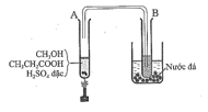 Trắc nghiệm Hóa học 11 Cánh diều Bài 19 (có đáp án): Carboxylic acid