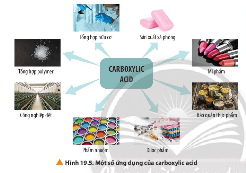 Quan sát Hình 19.5, nêu một số ứng dụng của carboxylic acid
