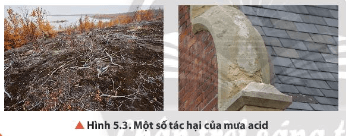 Quan sát Hình 5.3, hãy nêu một số tác hại của mưa acid
