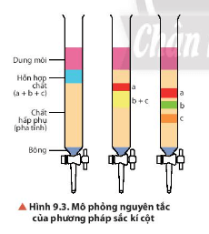 Quan sát Hình 9.3, hãy cho biết chất nào có tốc độ dịch chuyển lớn nhất